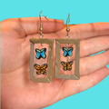 Framed Bug Earrings